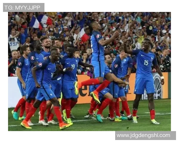 2008年欧洲杯法国队的辉煌历程与挑战回顾