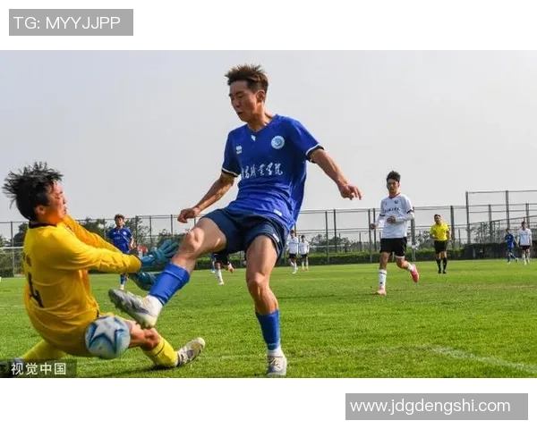 从绿茵场到人生新篇世界杯退役足球明星的精彩人生转折